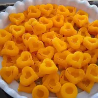 قندونبات فانتزی|خوردنی و آشامیدنی|ایرانشهر, |دیوار