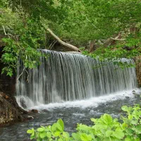 اجاره ویلا باغ