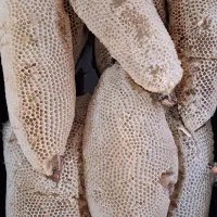 عسل طبیعی