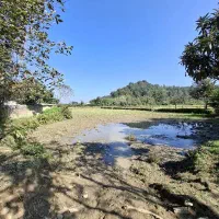 4700کتر خانه محوطه شالیزار سند تک برگ گیلان|فروش خانه و ویلا|احمدسرگوراب, |دیوار