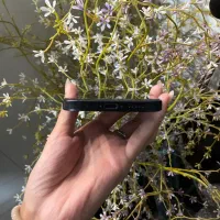 Iphone 15 normal|موبایل|تهران, صد دستگاه|دیوار