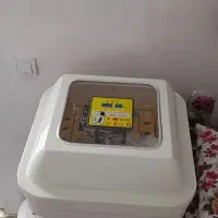 دستگاه جوجه کشی