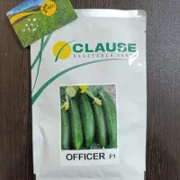 بذر خیار آفیسر شرکت Clause فرانسه