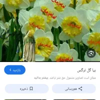 اهدای تخمک