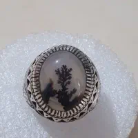 انگشتر شجر کلکسیونی تک درخت با رکاب استاد حسین|جواهرات|تهران, شهرک طالقانی|دیوار