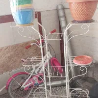 استند گل