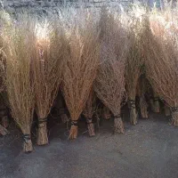 جارو محلی بزرگ