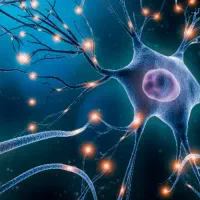 دمنوش  ام اس های خفیف