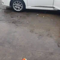 دنا پلاس توربو فول ابشنال|خودرو سواری و وانت|کرج, فاز ۲ مهرشهر|دیوار