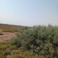 فروش یک قطعه زمین کارگاهی صنعتی|فروش زمین و ملک کلنگی|صوفیان, |دیوار