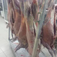 قصاب