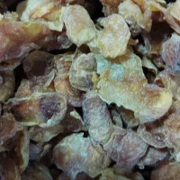برگه زردالو|خوردنی و آشامیدنی|مشهد, عسگریه|دیوار