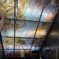 فروش و اجرا سقف کاذب و دیوار پوش و  قرنیز نوری