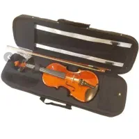 ویولون سالم  فقط تعویض سیم باید انجام بشه