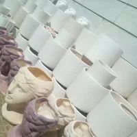 گل اکسیژن ساز