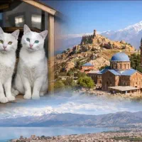 تور ارزان واقعی وان ،اربیل اردیبهشت ماه