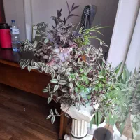 یک خانم و یک آقا جهت کار در مهمانپذیر