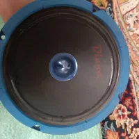 ۶ عدد میدرنج بدون عیب