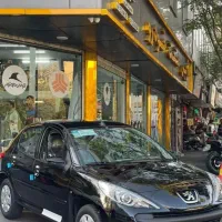 ۲۰۷ اتومات /فلز/پانا/ارتقایافته/TU5