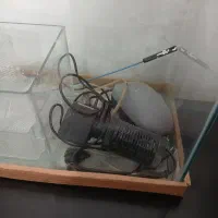 اکواریوم|لوازم جانبی حیوانات|شاهین‌شهر, مسکن مهر|دیوار