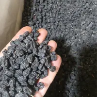 مویز و کشمش خوراکی