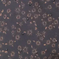 چادر|لباس|سراوان, |دیوار