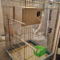 قفس ۱۰۳۳ با لوازم و لونه|لوازم جانبی حیوانات|تهران, افسریه شمالی|دیوار