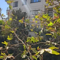 دروس ۱۱۵۰متر