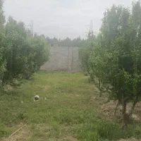 چهار-دیوار-بر-اوتبان-ساوه-بهترین-لوکیشن