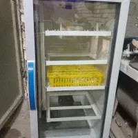 دستگاه جوجه کشی سینا