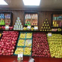 نیروی کار جهت همکاری در میوه فروشی