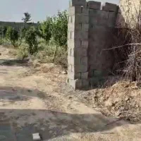 باغ چهار دیواری ۱۱۰۰متری|فروش زمین و ملک کلنگی|رباط‌کریم, الارد|دیوار