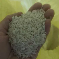 برنج درجه یک امساله هاشمی زیر قیمت بازار