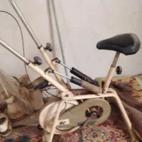 دوچرخه ورزشی