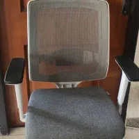 صندلی کارشناسی لیو