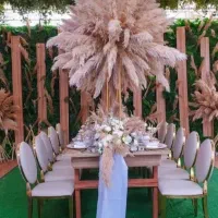 گل پامپاس،به صورت عمده وقیمت عالی|گل و گیاه طبیعی|نکا, |دیوار