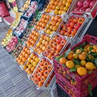 پخش عمده انواع میوه در سطح شهرستان شاهین دژ و حومه|عمده‌فروشی|شاهین دژ, |دیوار