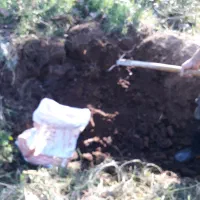 کود حیوانی باغ و گلخانه|حراج|سنگر, |دیوار