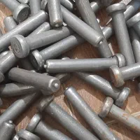 گل میخ وزنجیر