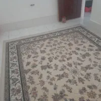 قالی|فرش|شیراز, حجت آباد|دیوار