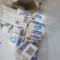 بلبرینگ حامد
