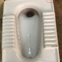 سرویس بهداشتی ایرانی