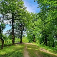 فروش-زمین-با-متراژ-عالی-برای-سرمایه-گذاری