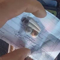 مهره بشرط اصل|کلکسیون اشیاء عتیقه|مسجد سلیمان, |دیوار
