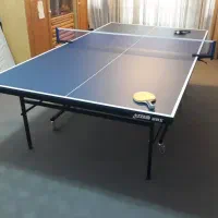 میز پینگ پنگ