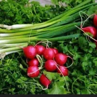 سبزی خوردن دسته ای|خوردنی و آشامیدنی|تهران, کیانشهر|دیوار