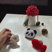 چارم بگ ، جاسوئیچی