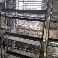 قفس مرغ تخمگذار|لوازم جانبی حیوانات|نکا, |دیوار