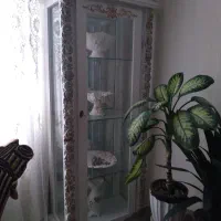 ویترین بوفه