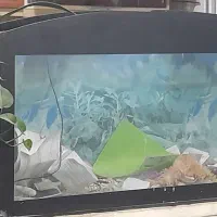 فروش آکواریم